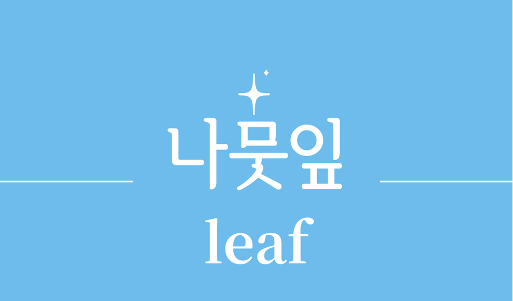 '나뭇잎(leaf)'