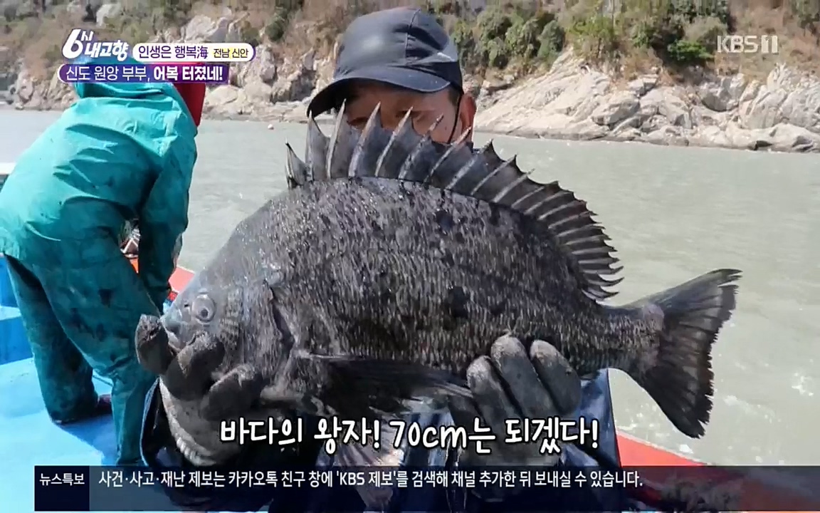 6시 내고향.E7518.220426p.H264-F1RST.mp4_20220504_192338.555.jpg