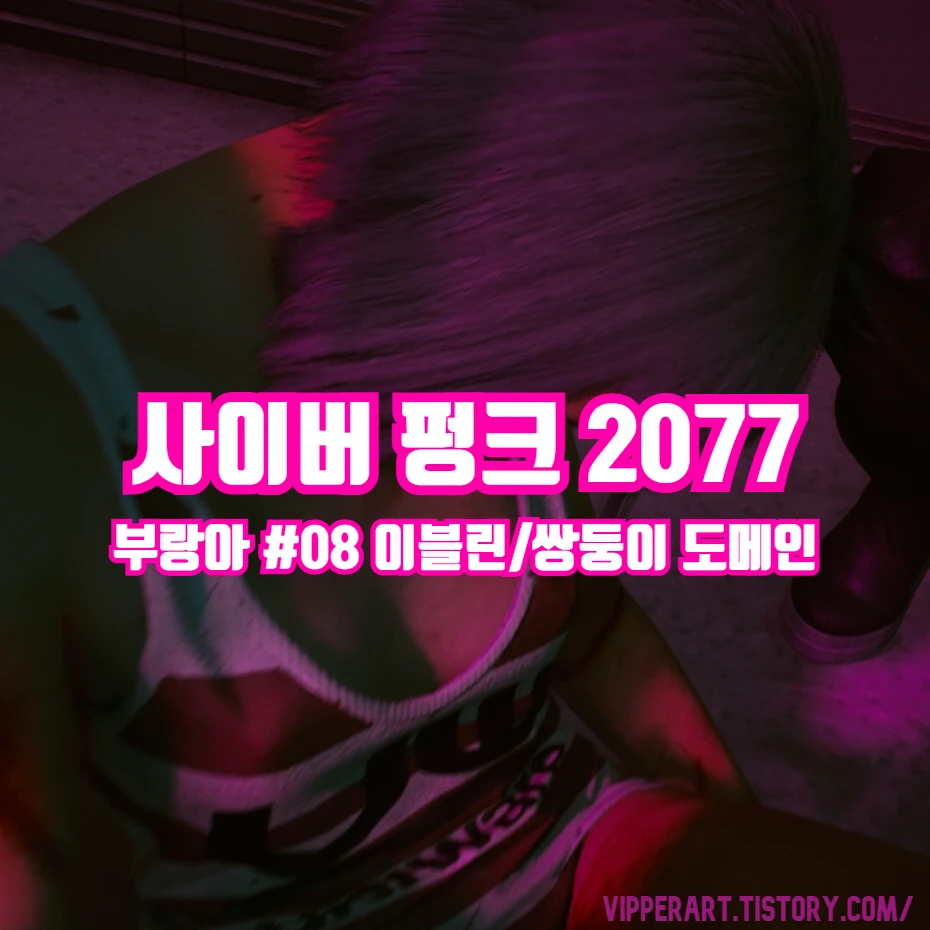  사이버 펑크 2077 사펑 부랑아 플레이 8탄(+이블린/쌍둥이 도메인)