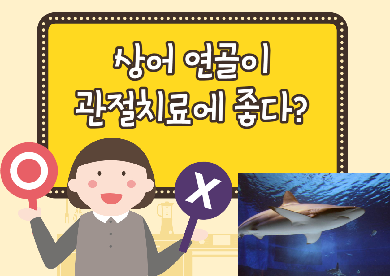 상어연골효과여부