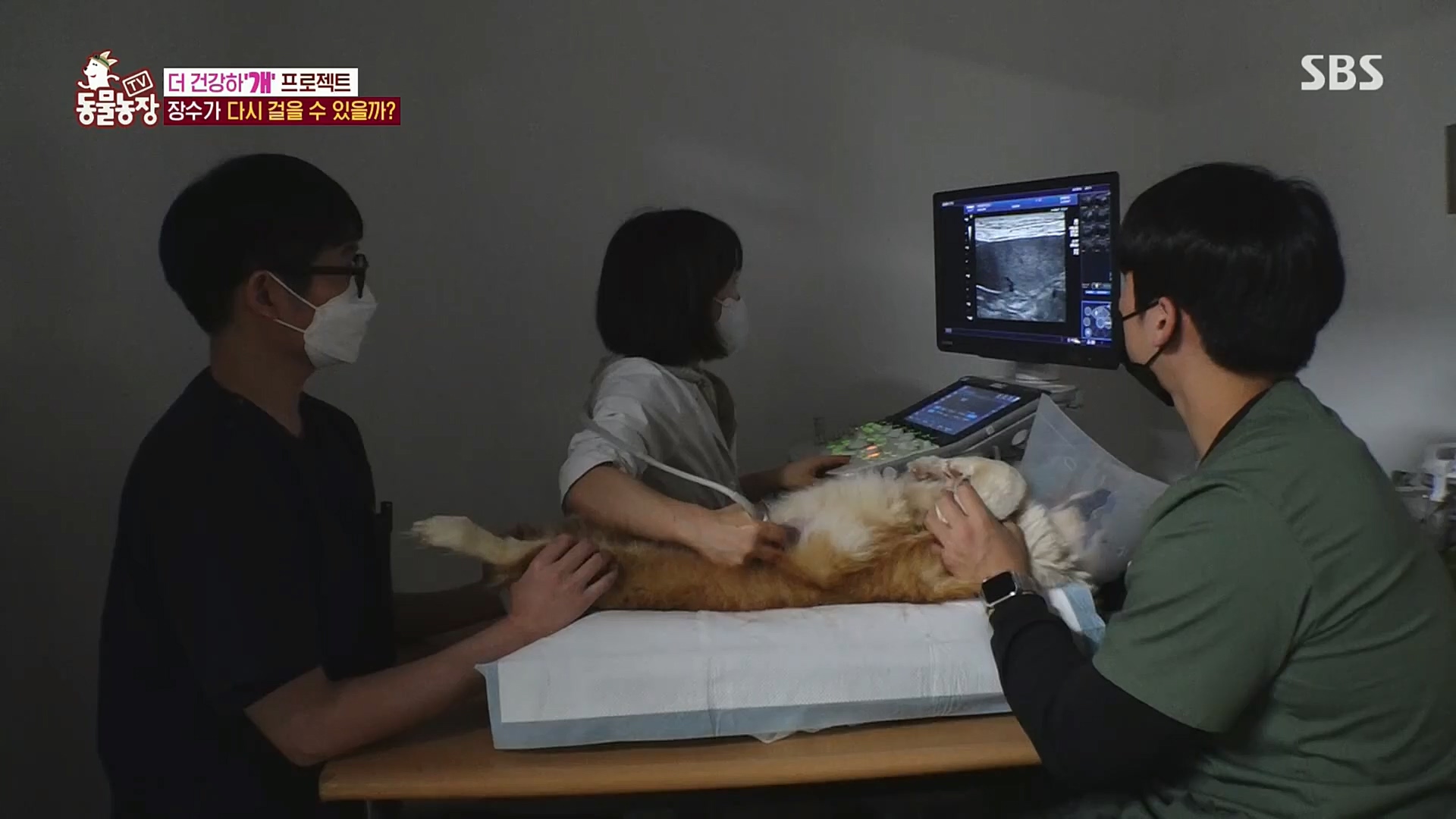 TV 동물농장.E1101.221225p.H264-F1RST.mp4_20221225_190248.648.jpg
