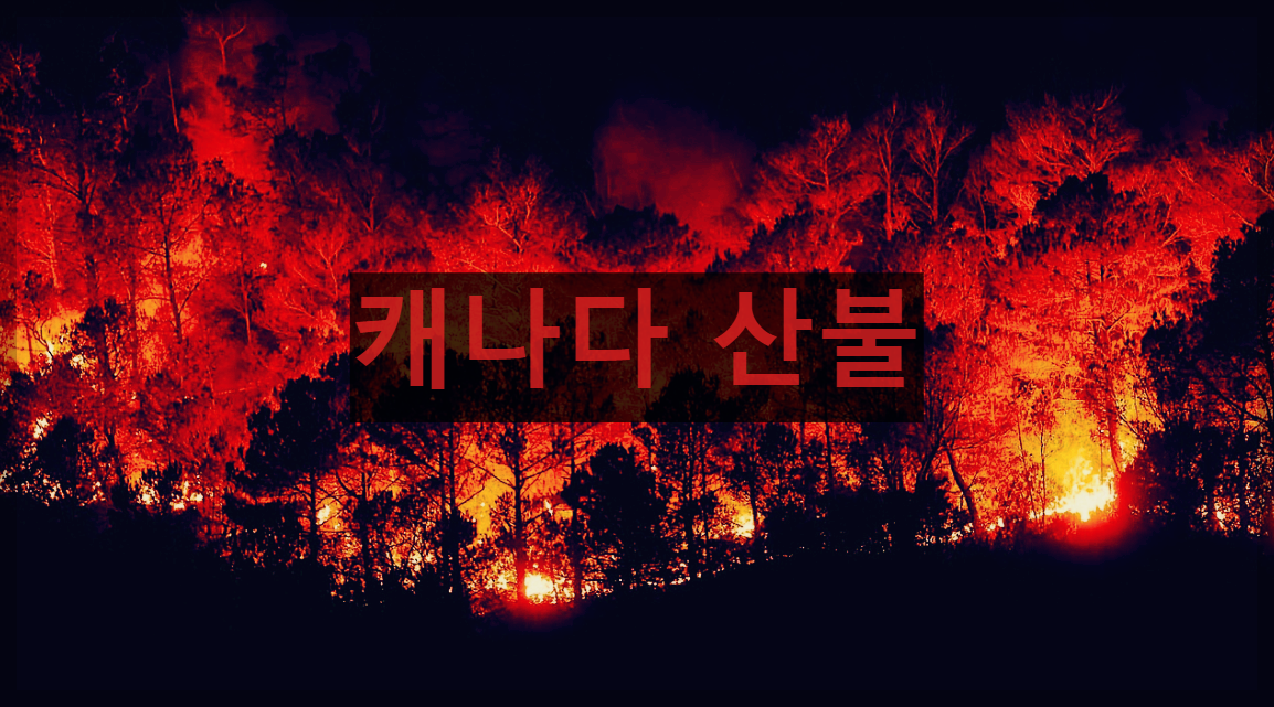  캐나다 산불 : 인간의 이기심을 경고하며 자연이 주는 재앙