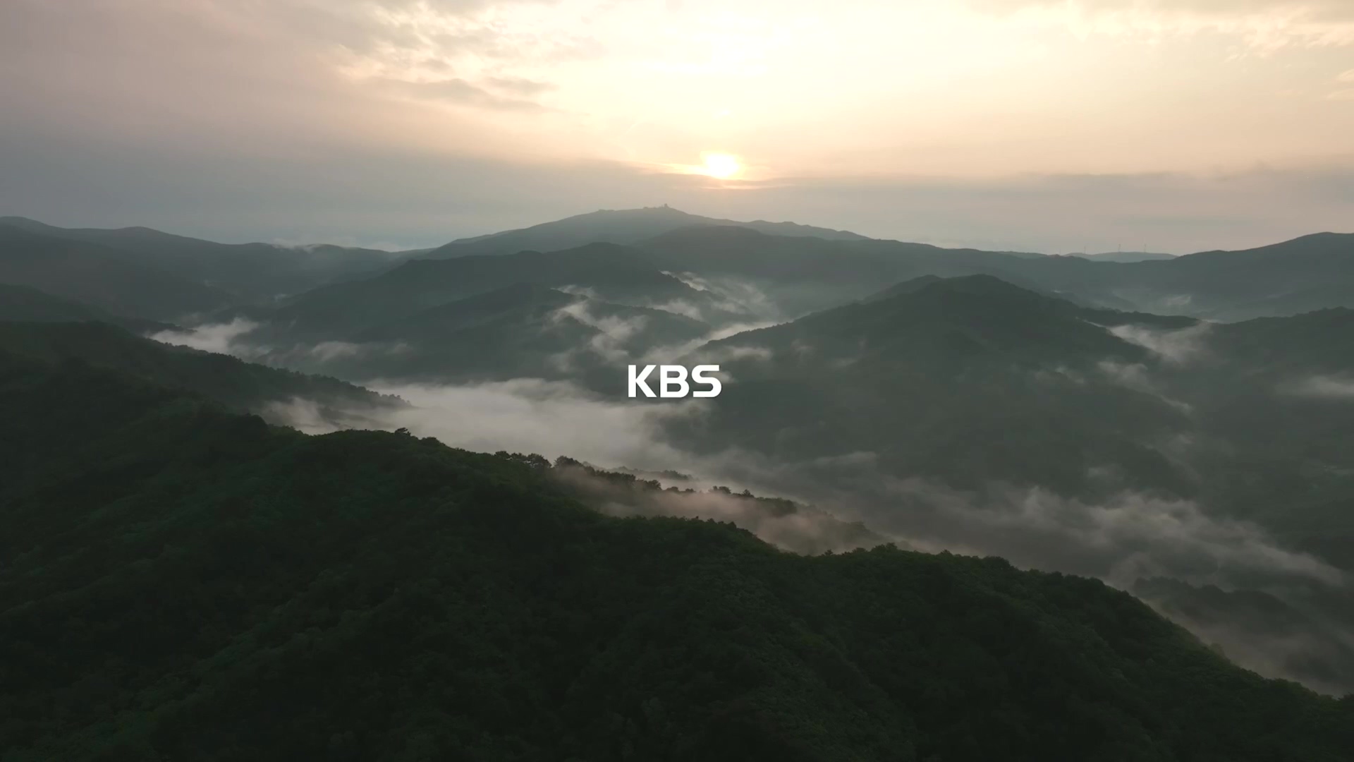 다큐 인사이트.E176.231214p.H264-F1RST.mp4_20231215_203102.217.jpg