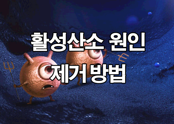  활성산소 제거 방법 : 원인