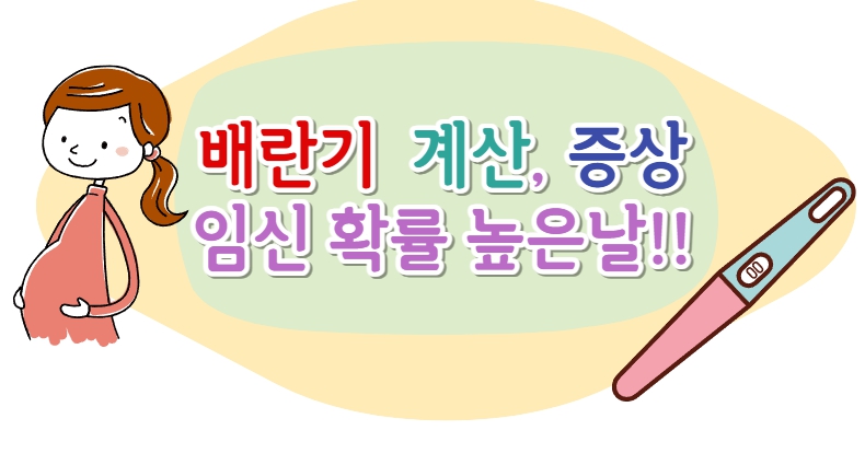  배란기 계산 & 증상, 임신준비 임신 확률 높은날!!