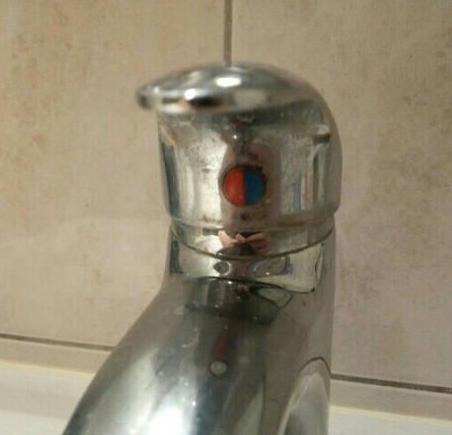  악마같은 장난질
