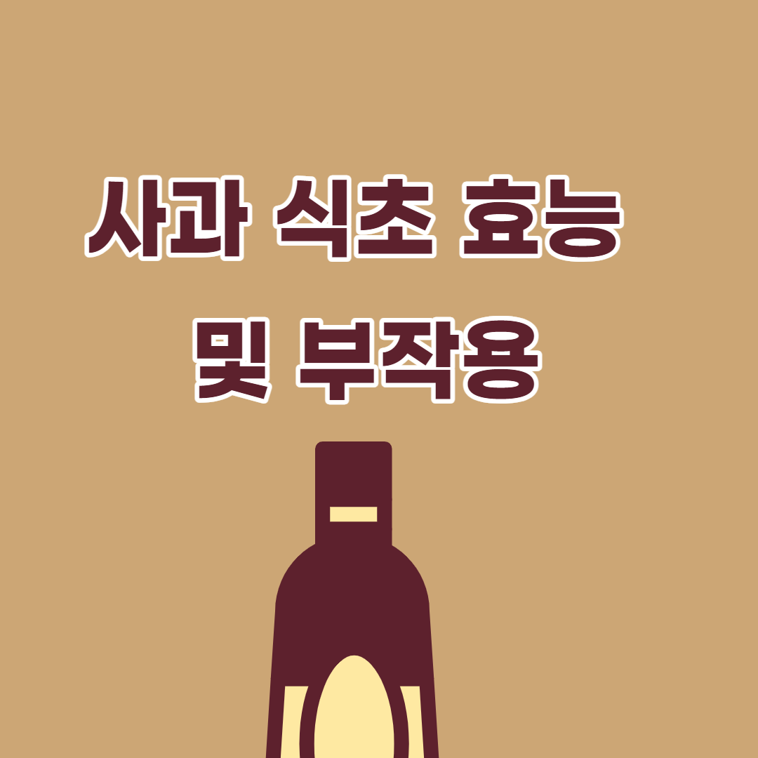 사과식초효능