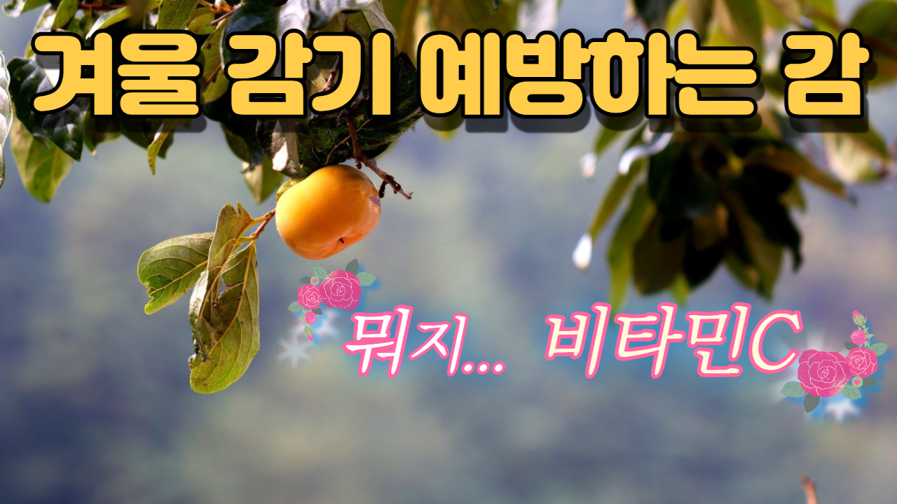  감의 효능