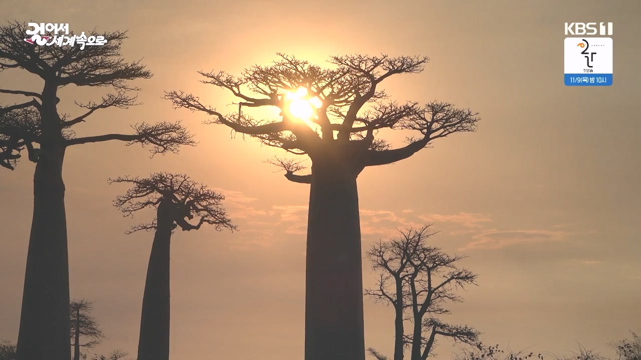 걸어서 세계속으로.E814.231022p-NEXT.mp4_20231022_170322.125.jpg