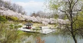 북서울꿈의숲-1