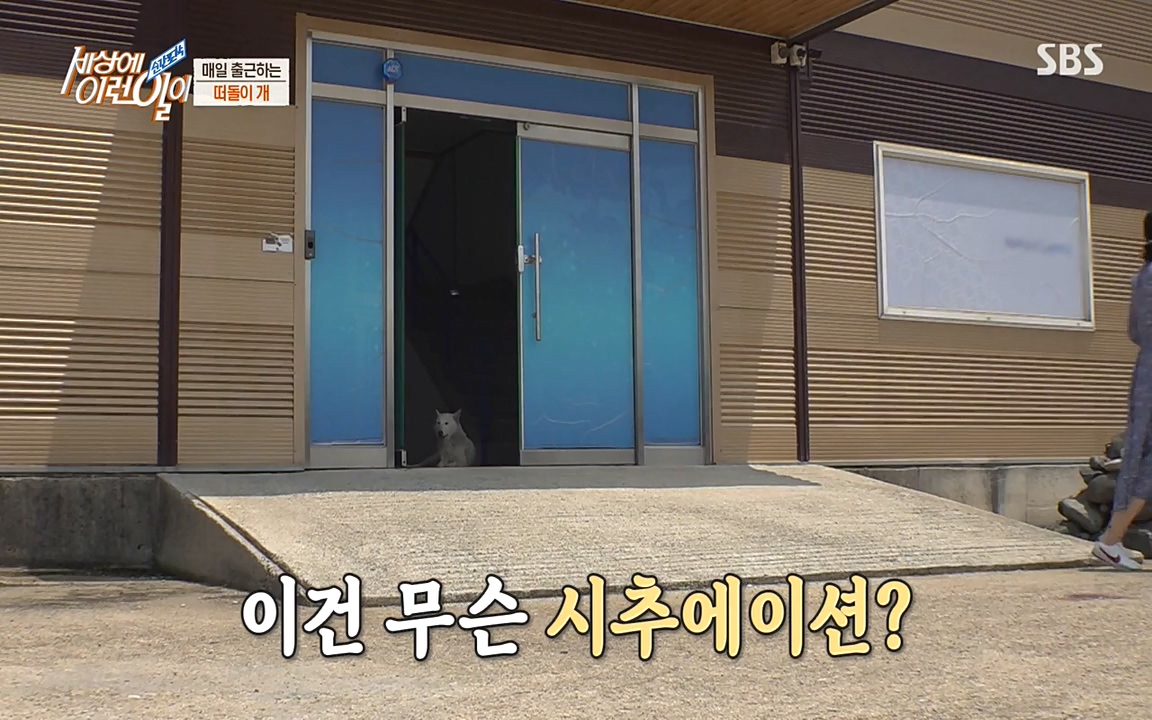 순간포착 세상에 이런일이.E1185.220622p-NEXT.mp4_20220622_201152.135.jpg