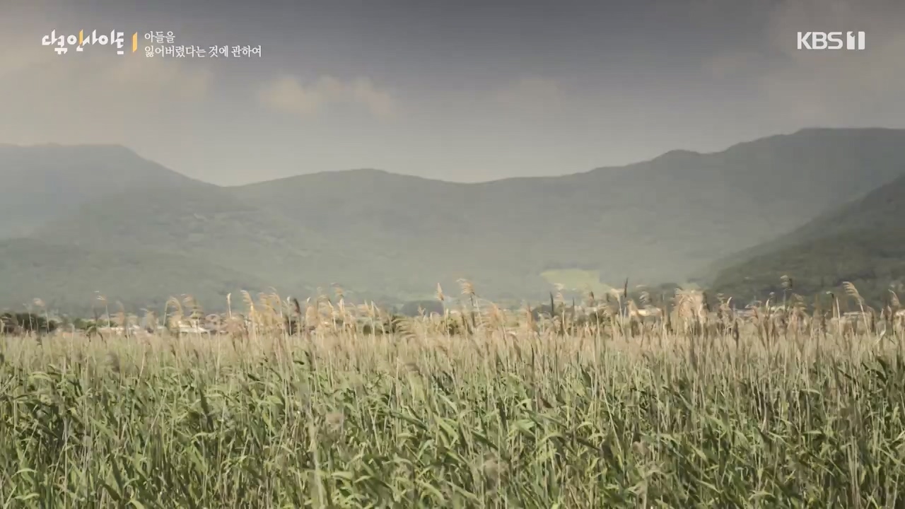 다큐 인사이트.E159.230825p-NEXT.mp4_20230825_204121.545.jpg