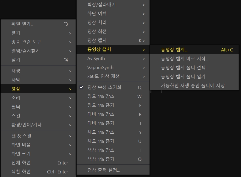 동영상 캡처 설정