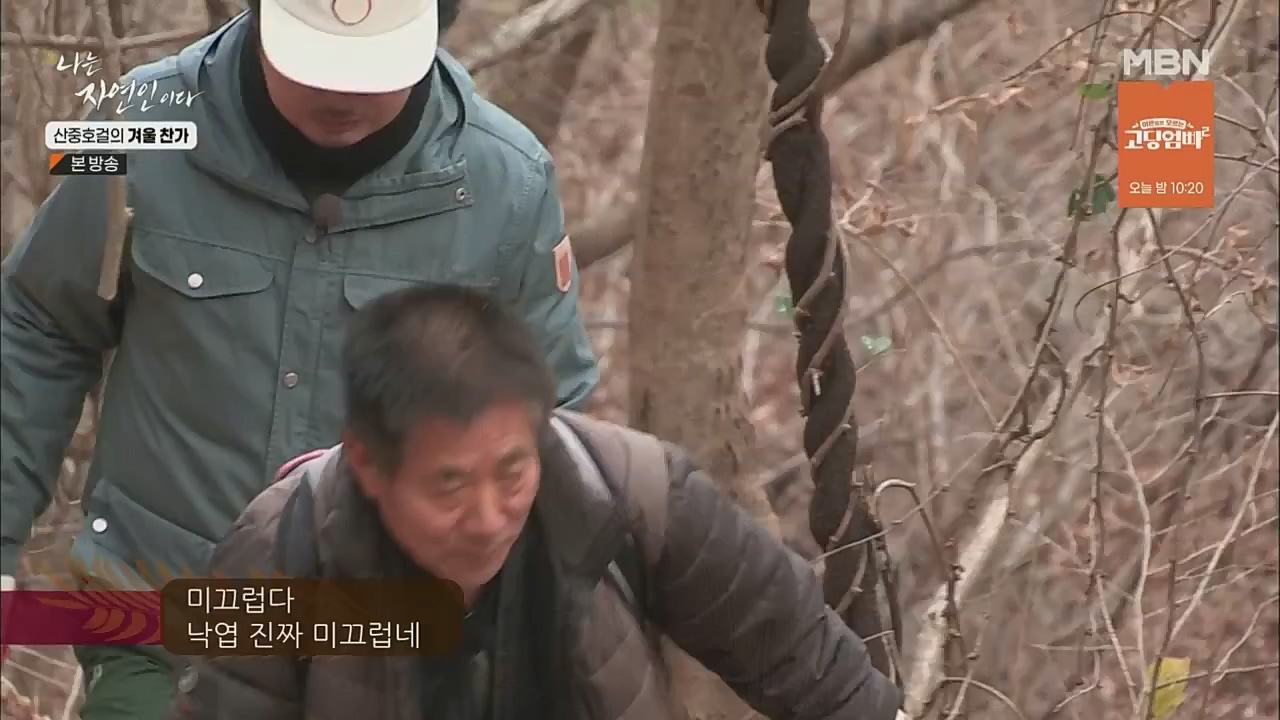 나는 자연인이다.E533.221222p.WANNA.mp4_20221222_194231.318.jpg