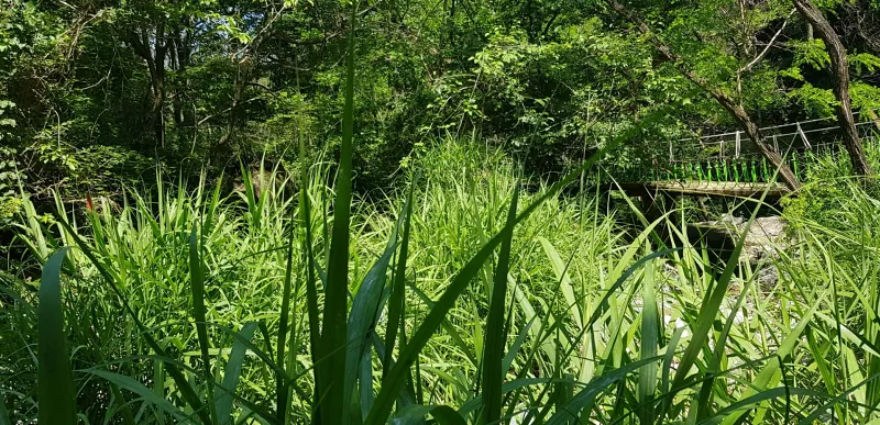 창원 비음산