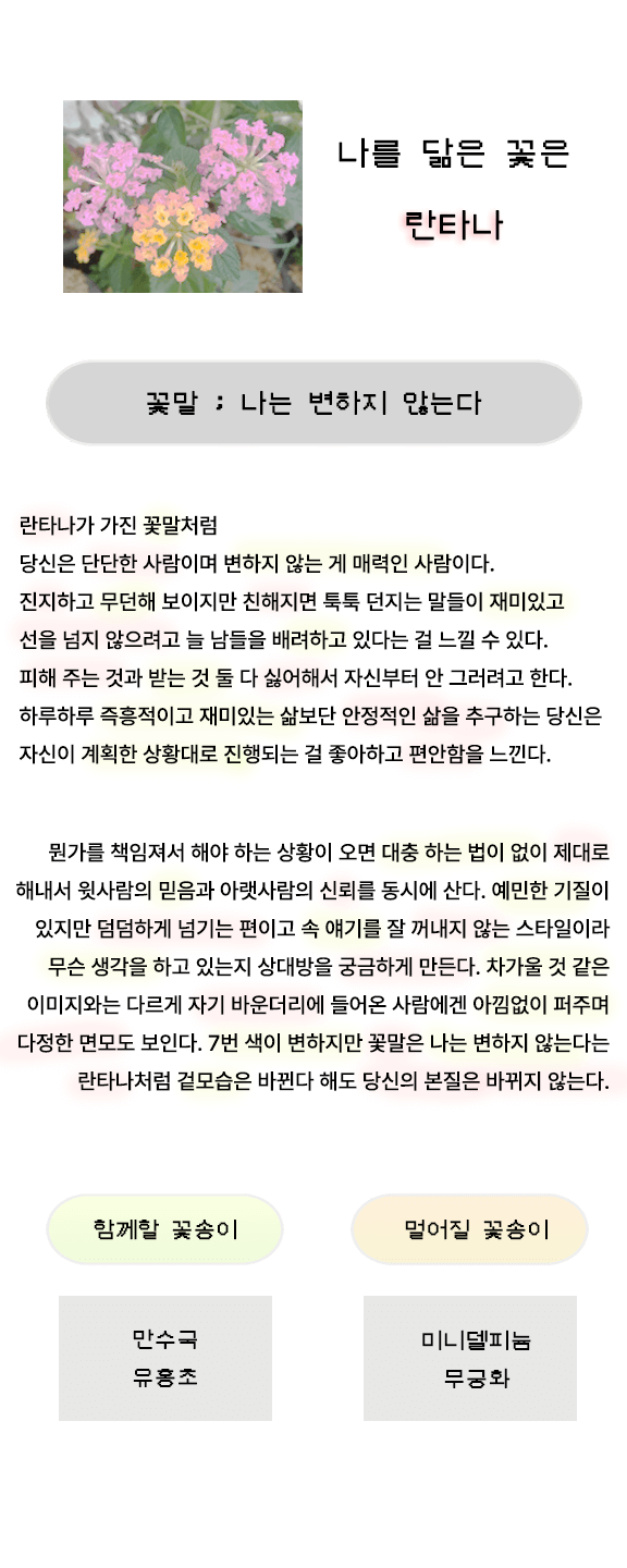 꽃말성격테스트-란타나