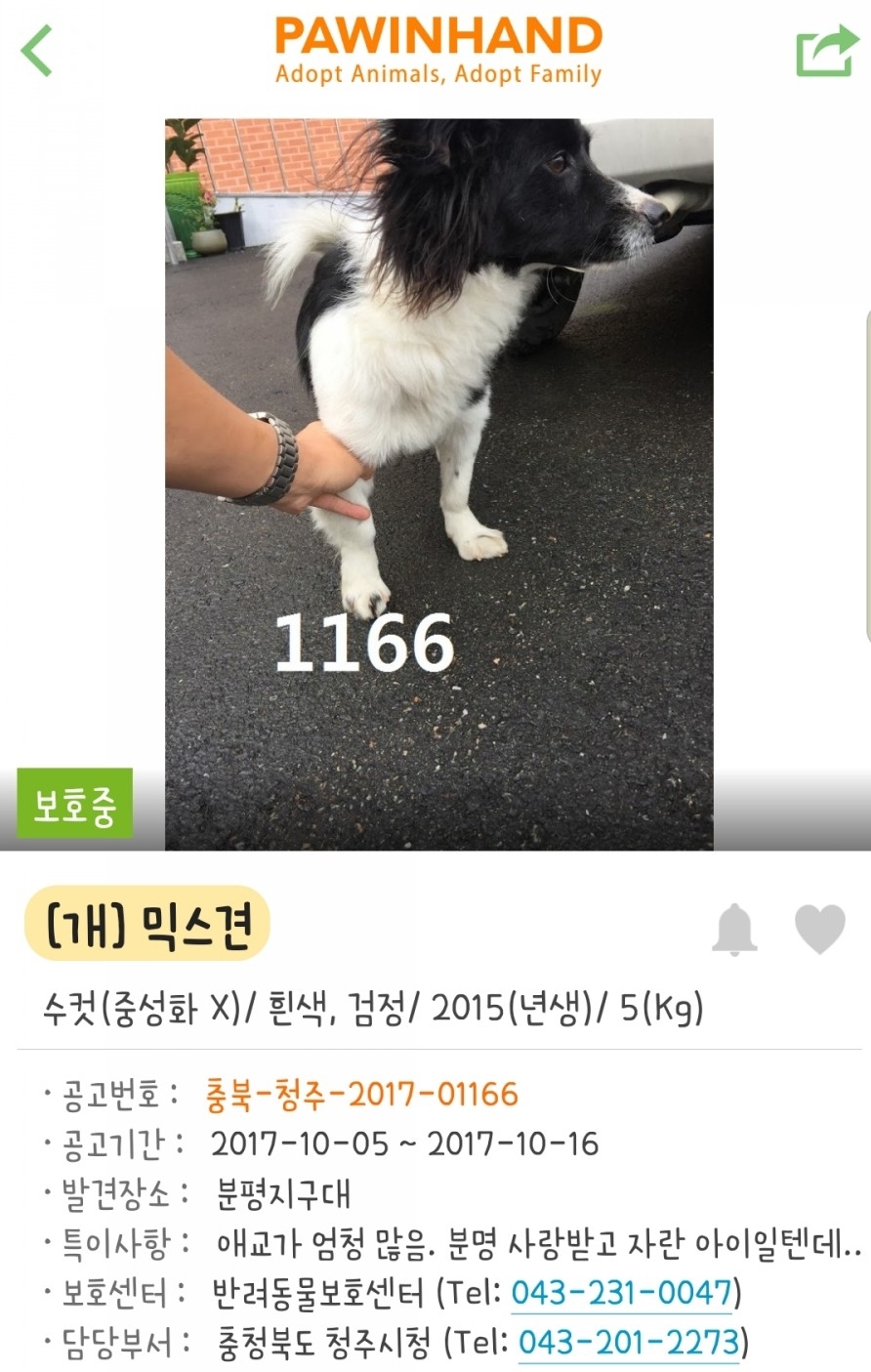 포인핸드 이미지