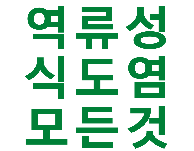  역류성 식도염/ 역류성식도염 생기는이유/ 역류성식도염 증상/ 역류성식도염 예방법