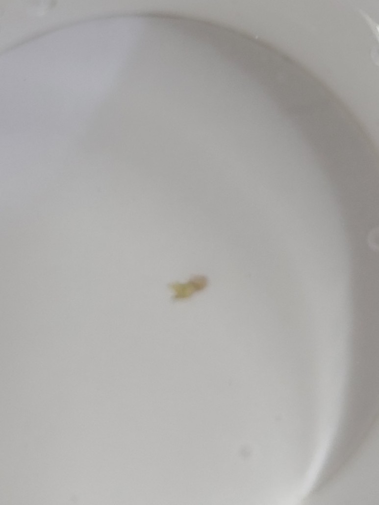 모리식당 이미지