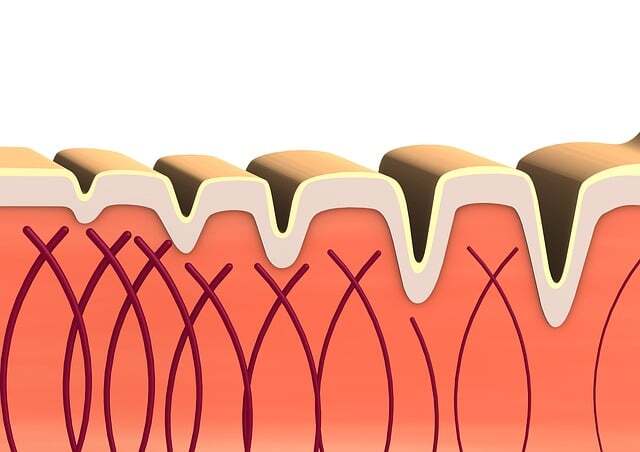 당노톱 효능 후기 (3개월 복용) 