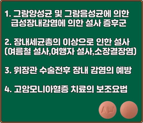 노르믹스정_효능