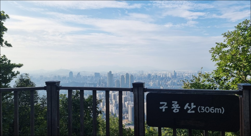  일요일에는 들꽃이랑 대모산~구룡산을 걸어 봐요