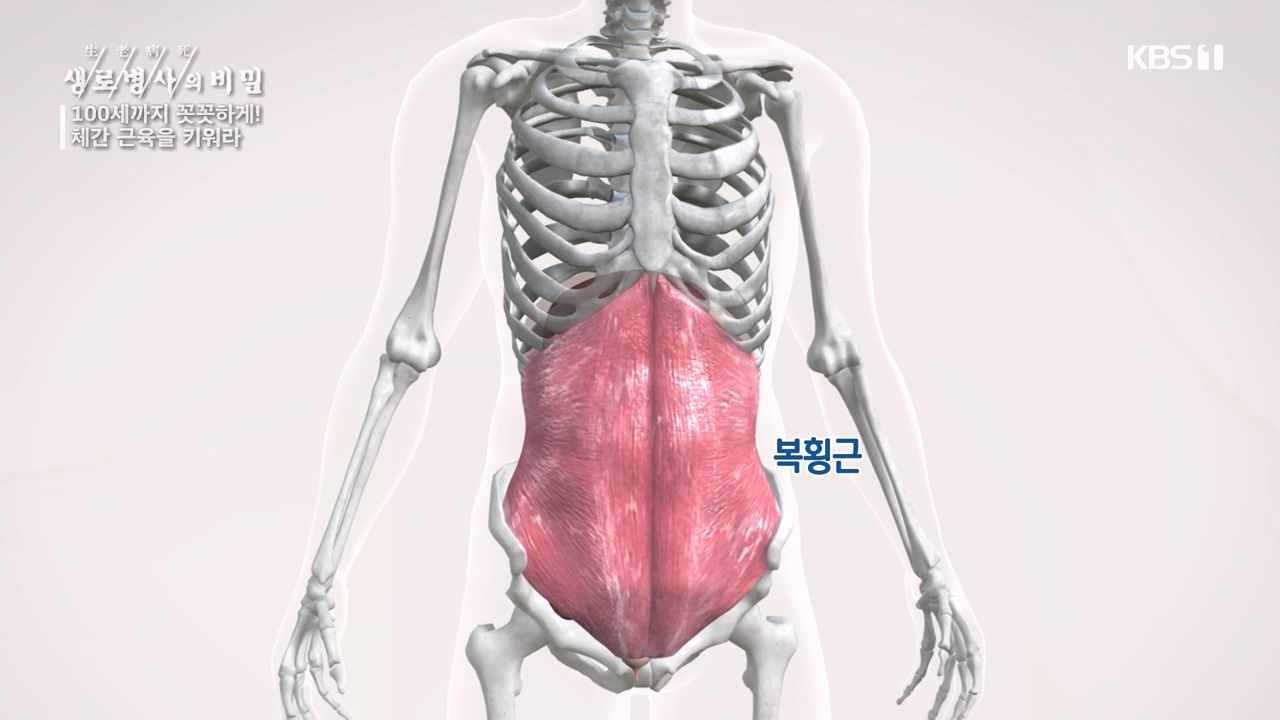 생로병사의 비밀.E885.231012p-NEXT.mp4_20231012_203441.411.jpg