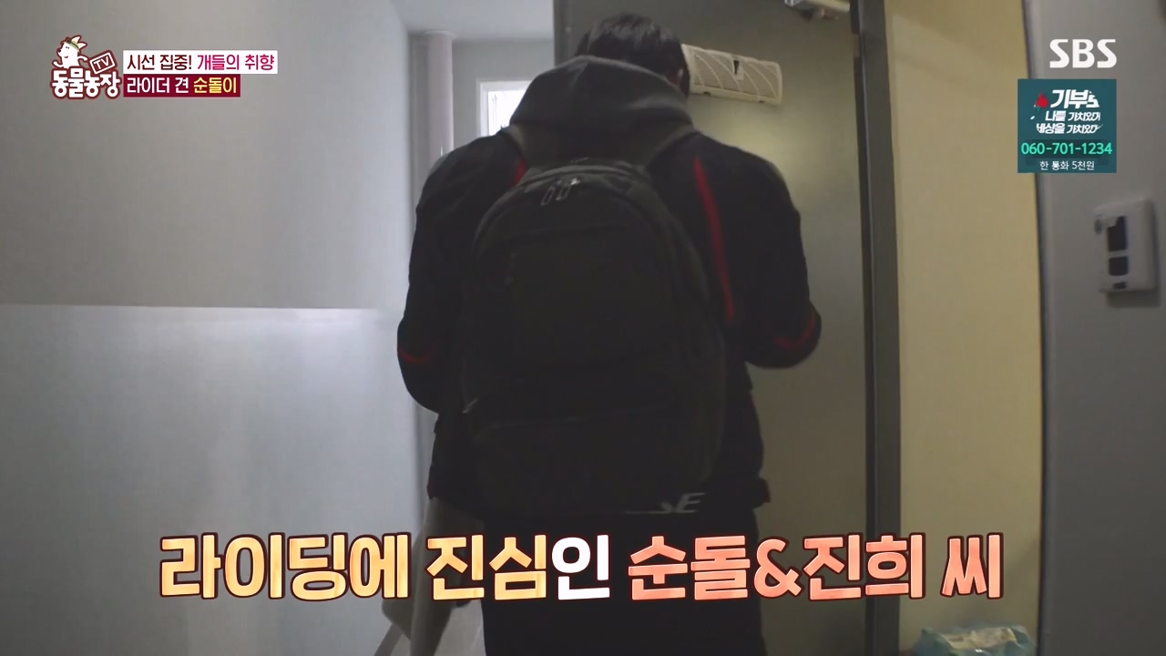 TV 동물농장.E1152.231232p-NEXT.mp4_20231231_172005.798.jpg