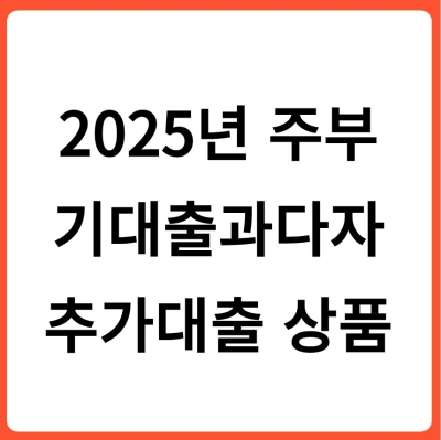 2025년 주부 기대출과다자