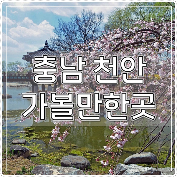  충남 천안 가볼만한곳 베스트7 최신