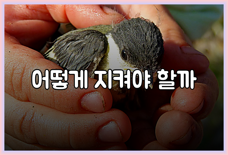 어떻게 지켜야 할까
