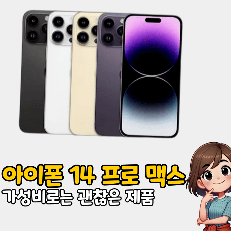 아이폰 14 프로 맥스