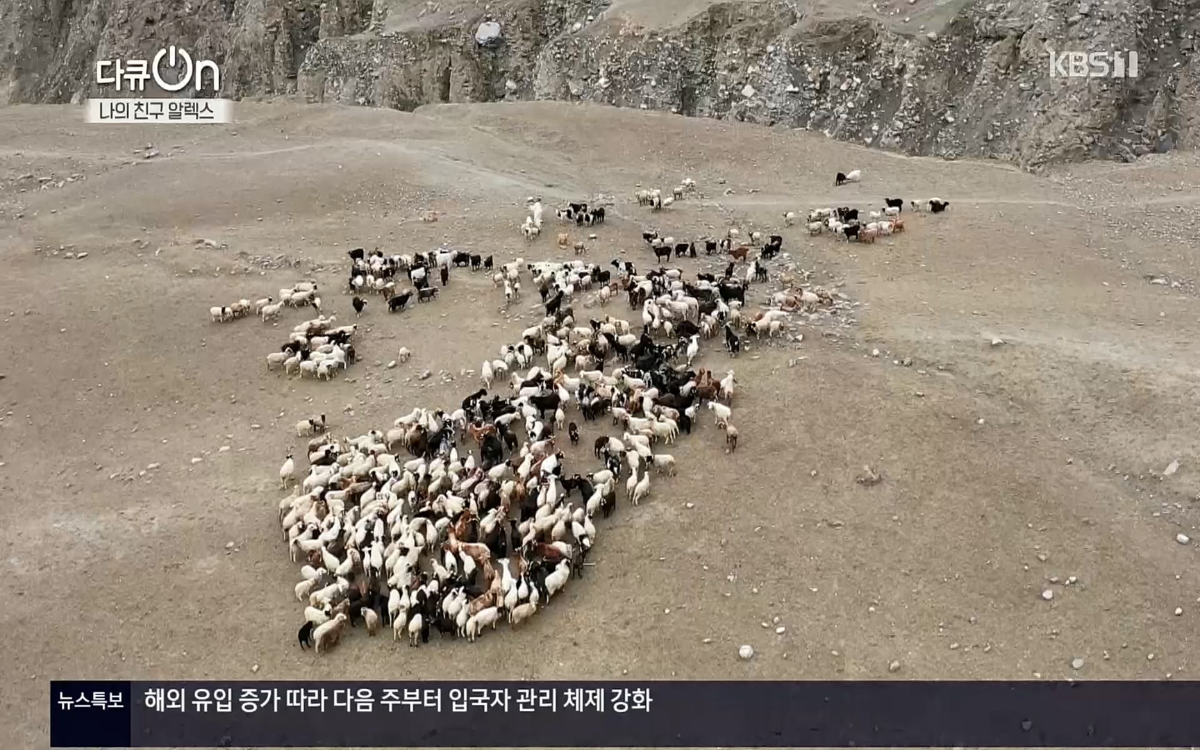 다큐 On.E149.220722p.H264-F1RST.mp4_20220723_160044.981.jpg