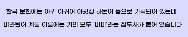  한국 문헌에는 아귀, 아귀어, 아귓생, 하돈어 등으로 기록되어 있는데, 비라틴어 계통 이름에는 거의 모두 '비퍼'라는 접두사가 붙어 있습니다.