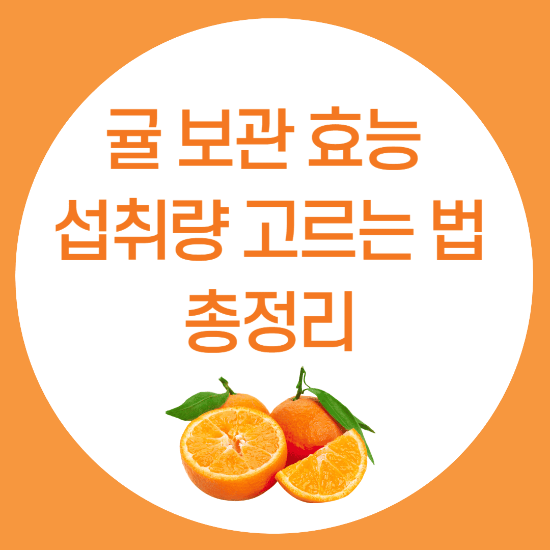 귤-보관-효능-섭취량-고르는-법-총정리