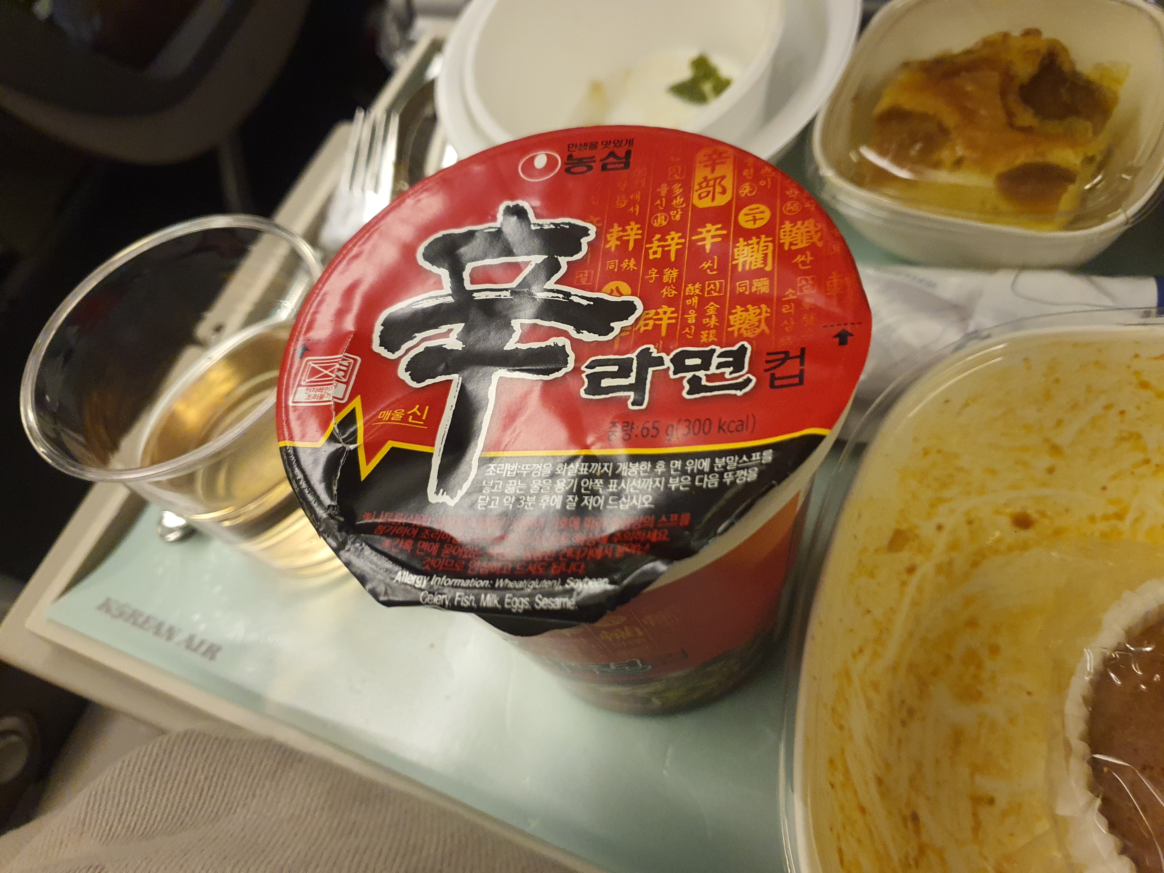 튀르키예 패키지 여행 - 9일차 이스탄불 IGA라운지, 대한항공 KE956