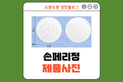 손페리정 성상 이미지