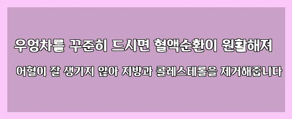  우엉차를 꾸준히 드시면 혈액순환이 원활해져 어혈이 잘 생기지 않아 지방과 콜레스테롤을 제거해줍니다