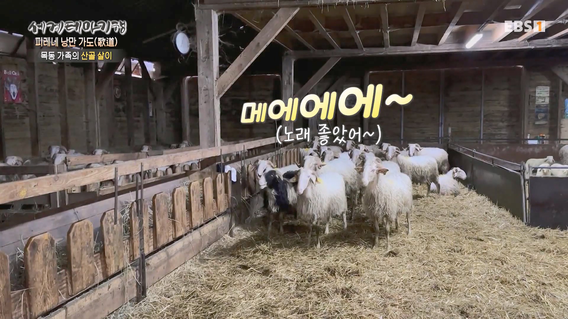 세계테마기행 231225 피레네 낭만 가도(歌道) -요정의 길을 따라, 비뉴말 트레킹0p.mp4_20240628_205006.503.jpg