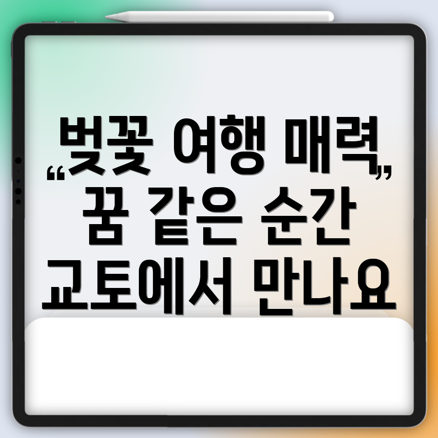 교토 벚꽃