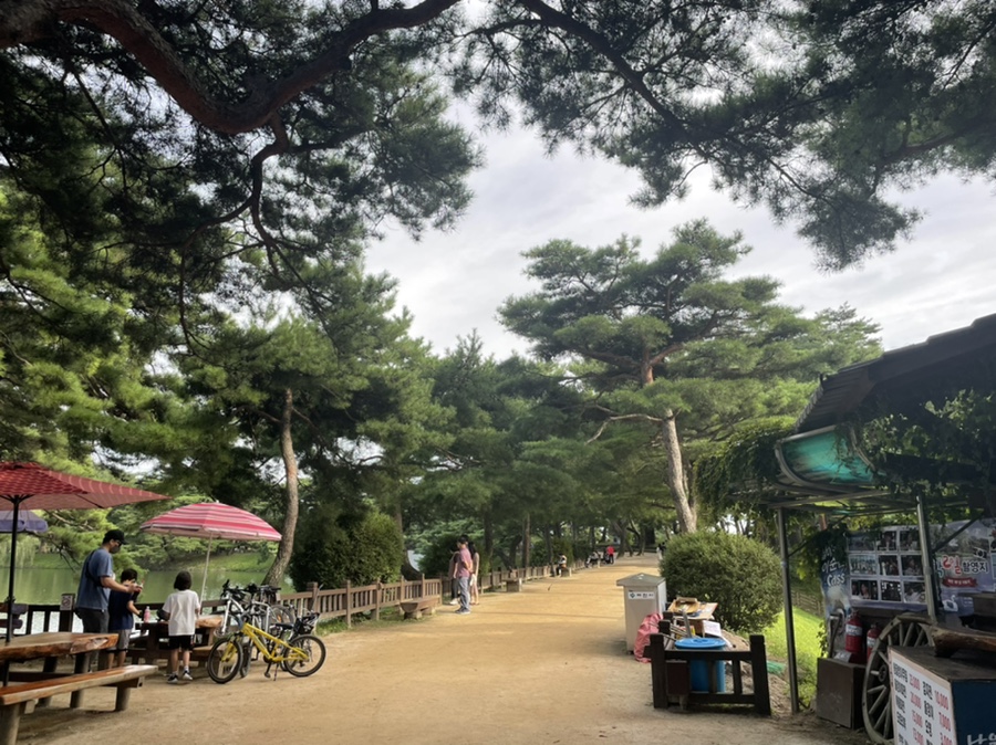 충청도1박2일여행지 [청주근교여행]제천의림지_충청도여행지추천 : 21