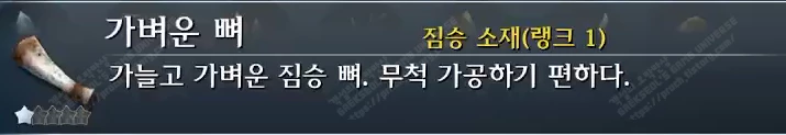 가벼운 뼈 설명