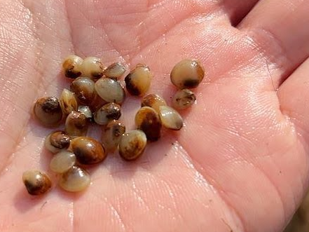 홍가네식당 이미지