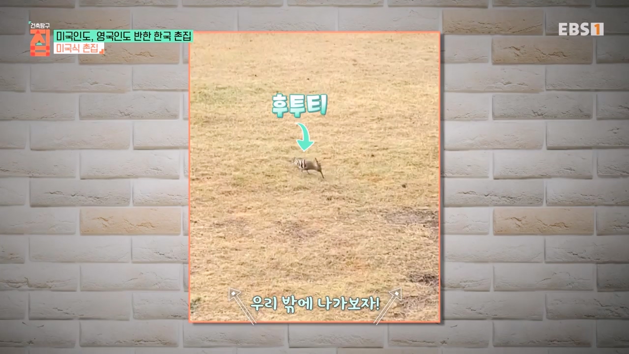 TV - 전 국민의 평생학교 EBS미국인도, 영국인도 반한 한국 촌집.mp4_20230927_181430.360.jpg