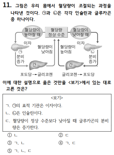 중3 혈당량 기출문제