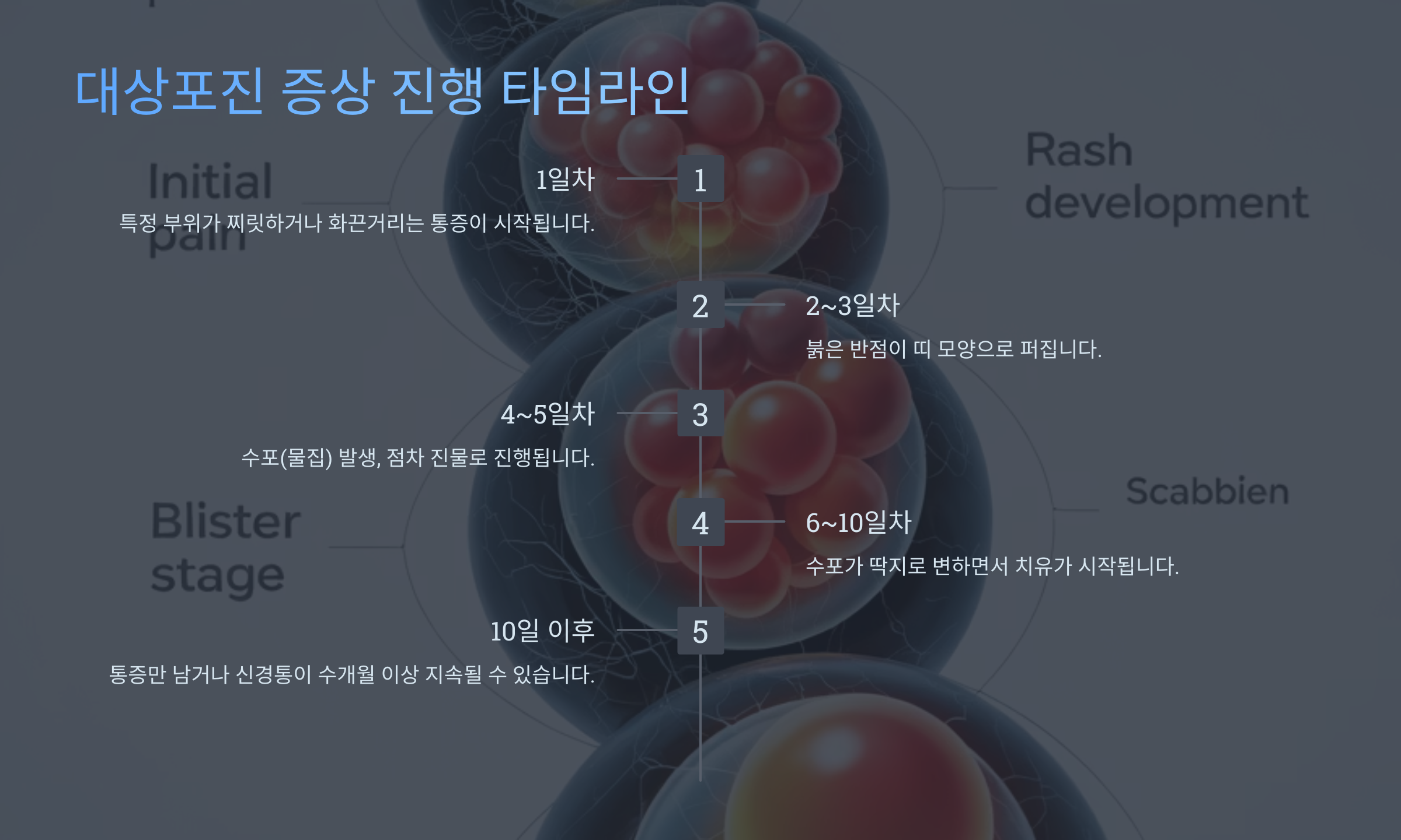 대상포진 증상 진행 타임라인