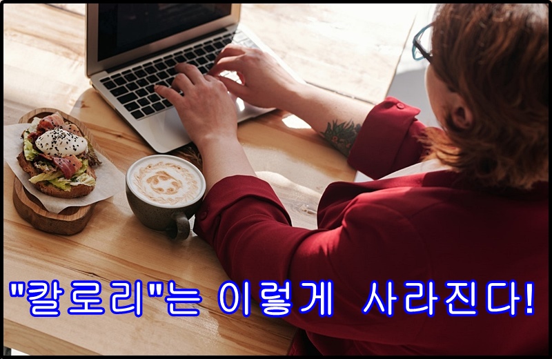 내 안의 칼로리 소비는 이렇게~!
