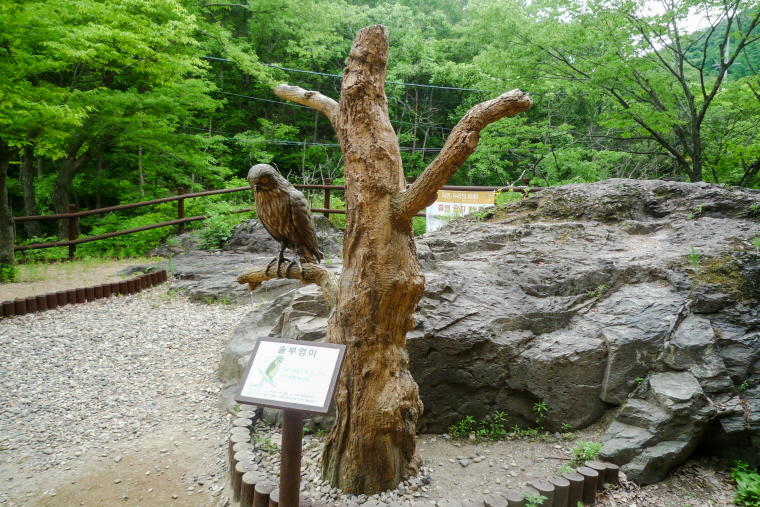 마늘로드 한국 명산 경북 청송 주왕산 등산 mountain hiking