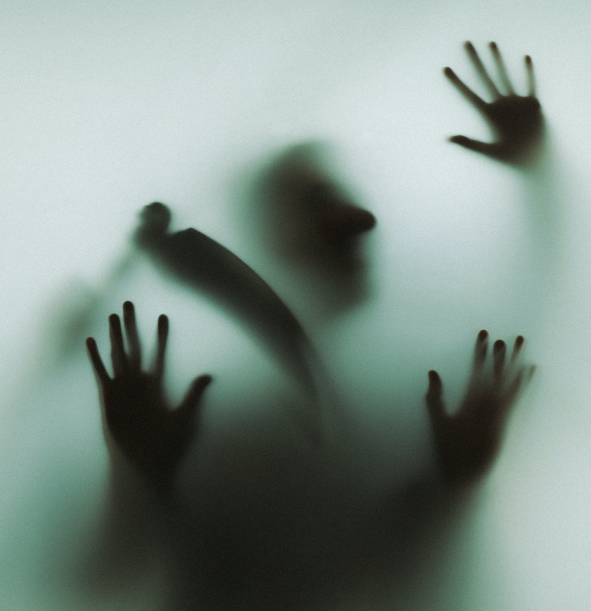  테러리스(테러레스), '내 주변 예고된(칼부림) 범죄 정보 신속제공!'