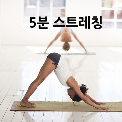 제목_유연성을 기르는 매일 5분 스트레칭